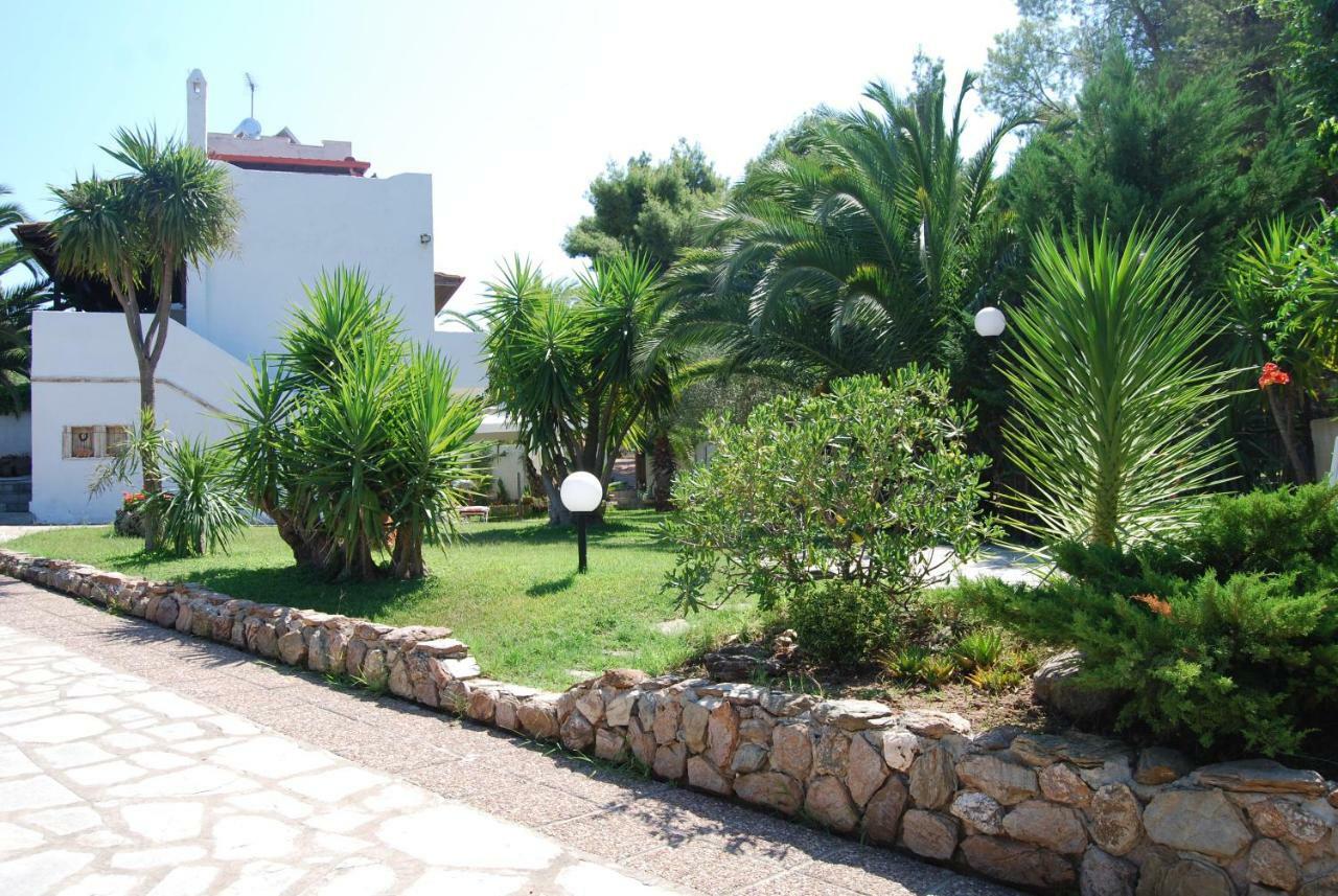 Ta Pefka Apartment Nikiti  Exterior foto